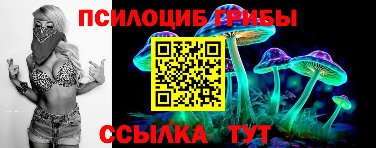 Псилоцибиновые грибы Psilocybine cubensis  Вход с VPN  Новочеркасск 